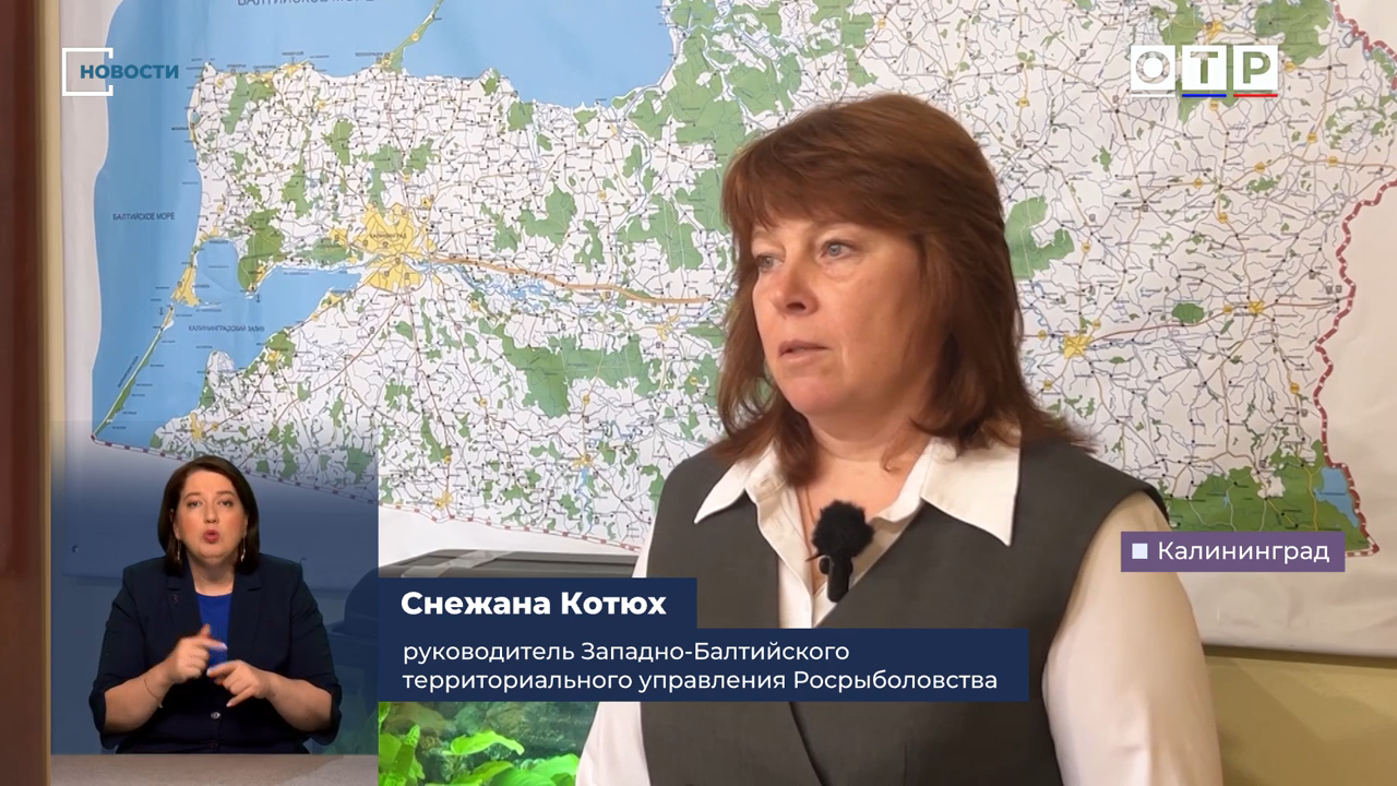 В Калининградской области объяснили дефицит трески в магазинах