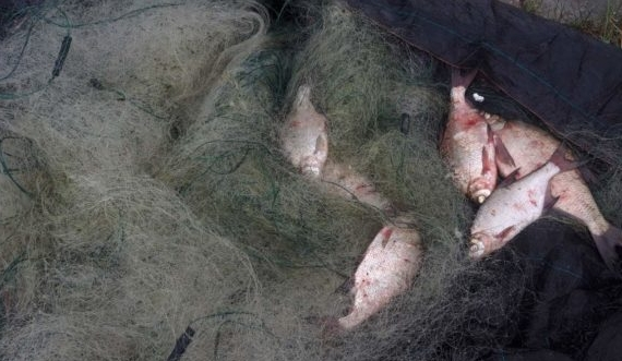 Отработано 15  совместных мероприятий