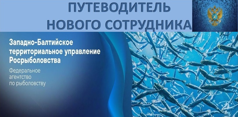 Путеводитель нового сотрудника!!!