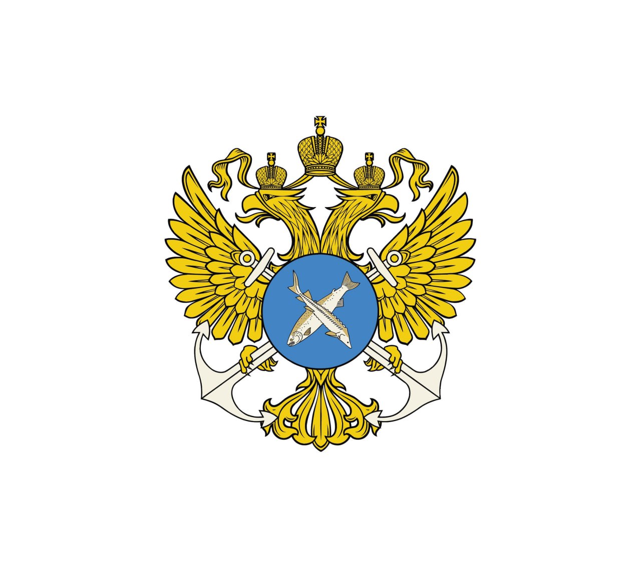 БОЙЦЫ СВО ВЫРАЗИЛИ БЛАГОДАРНОСТЬ ЗБТУ ЗА ГУМАНИТАРНУЮ ПОМОЩЬ!