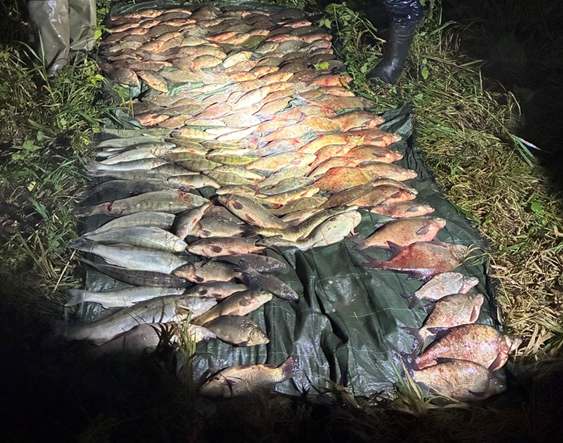 Причинен ущерб на 116 280 рублей