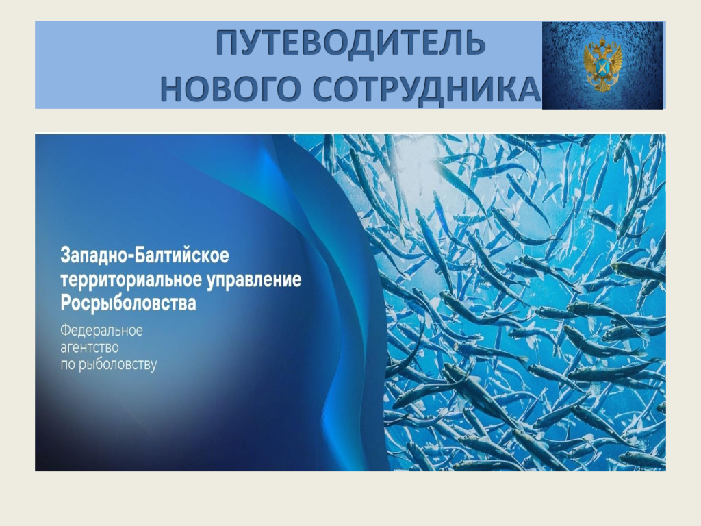 Лист 1