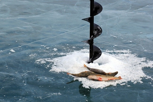 Проведено 45 выездных обследований