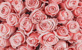 Коллектив Западно-Балтийского территориального управления Росрыболовства поздравляет с юбилеем Снежану Владимировну Котюх!