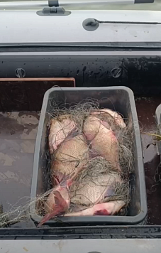 Изъято 43 единиц запретных орудий лова