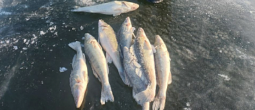 Изъято 16 единиц орудий лова