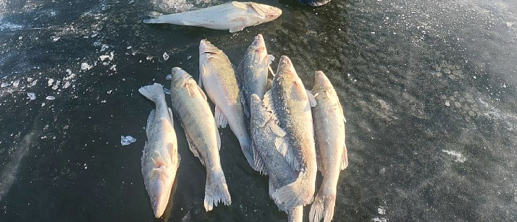 Изъято 16 единиц орудий лова