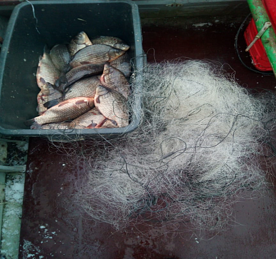 Изъято 110 кг рыбы
